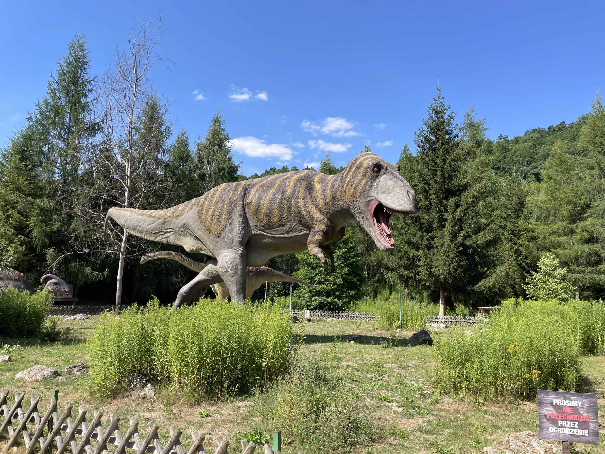 Model tyranozaura naturalnej wielkości na trawiastej polanie w JuraParku w Bałtowie, w tle świerkowy las