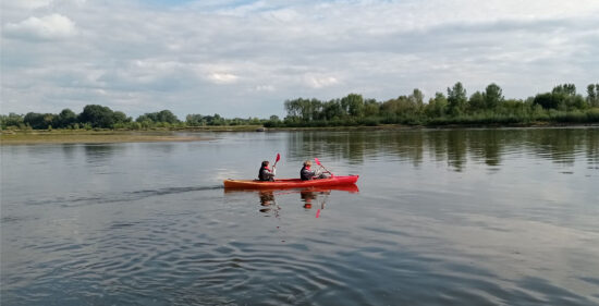 kajaki wisła kazimierz dolny, janowiec