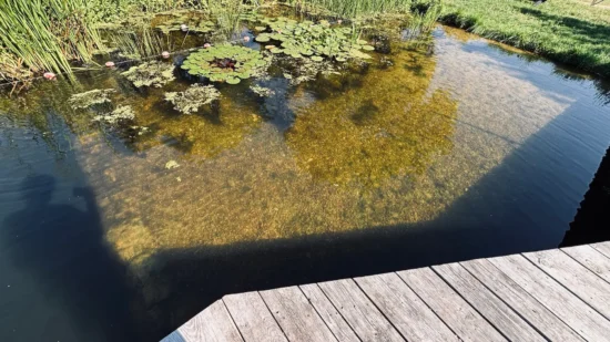 Płycizna basenu naturalnego z łagodnym zejściem do wody i przejrzystym dnem, agroturystyka Złoty Klon w Kijance