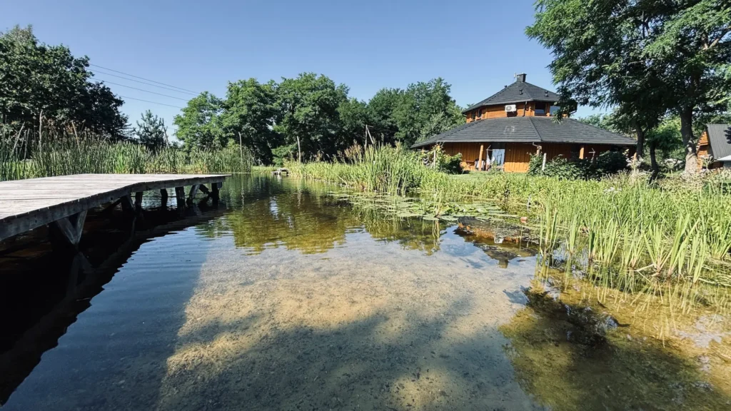 Basen naturalny 26 na 13 metrów z drewnianym pomostem i ośmiokątnym domem ze słomy w tle, agroturystyka Złoty Klon w Kijance