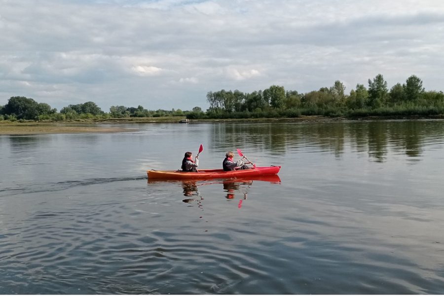 Spływy kajakowe kazimierz dolny janowiec